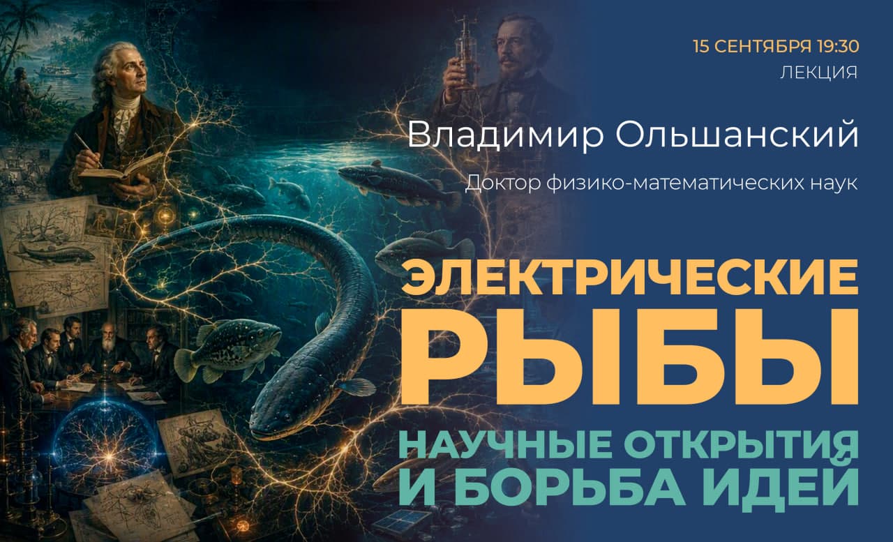 Изображение для Электрические рыбы